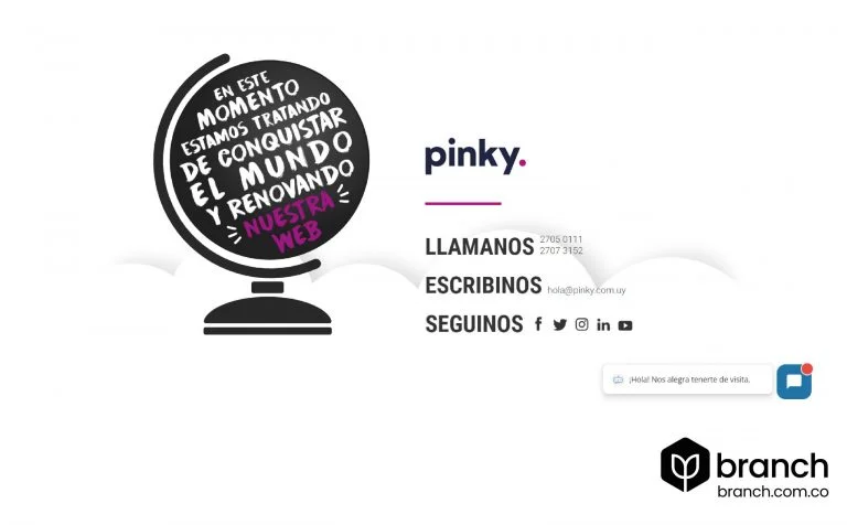 Pinky-Top-10-de-agencias-de-marketing-digital-en-Uruguay - Branch agencia SEO
