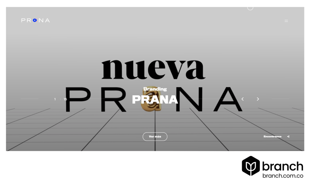 Prana-Top-10-de-agencias-de-marketing-digital-en-Paraguay