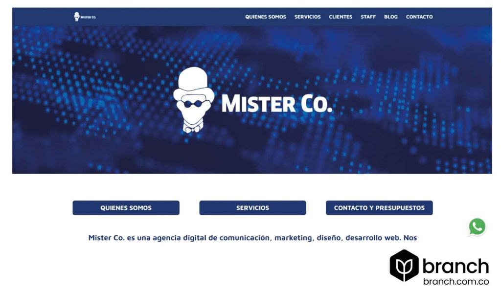 MisterCo-Top-10-de-las-mejores-agencias-de-desarrollo-web-en-paraguay
