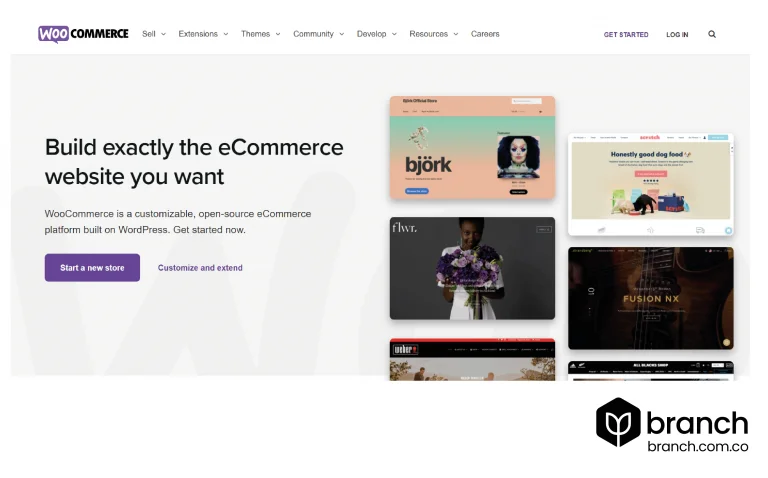 WooCommerce-5-mejores-plataformas-de-Ecommerce - Branch agencia digital