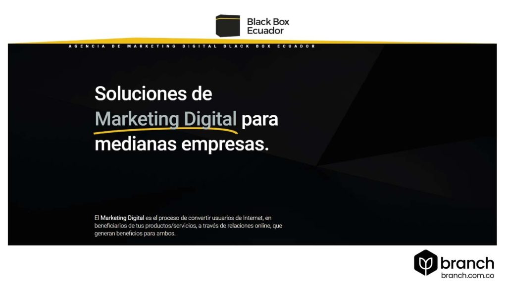 Black-Box-Top-10-de-las-mejores-Agencias-de-SEO-en-Ecuador