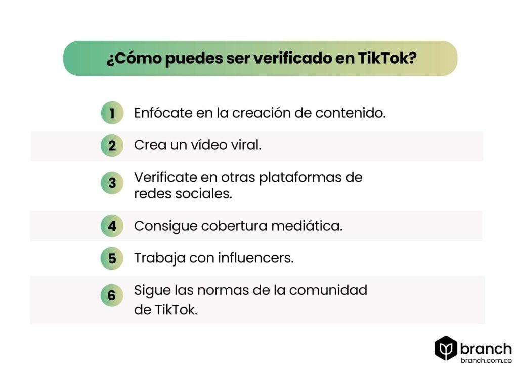 ¿Cómo puedes ser verificado en TikTok?