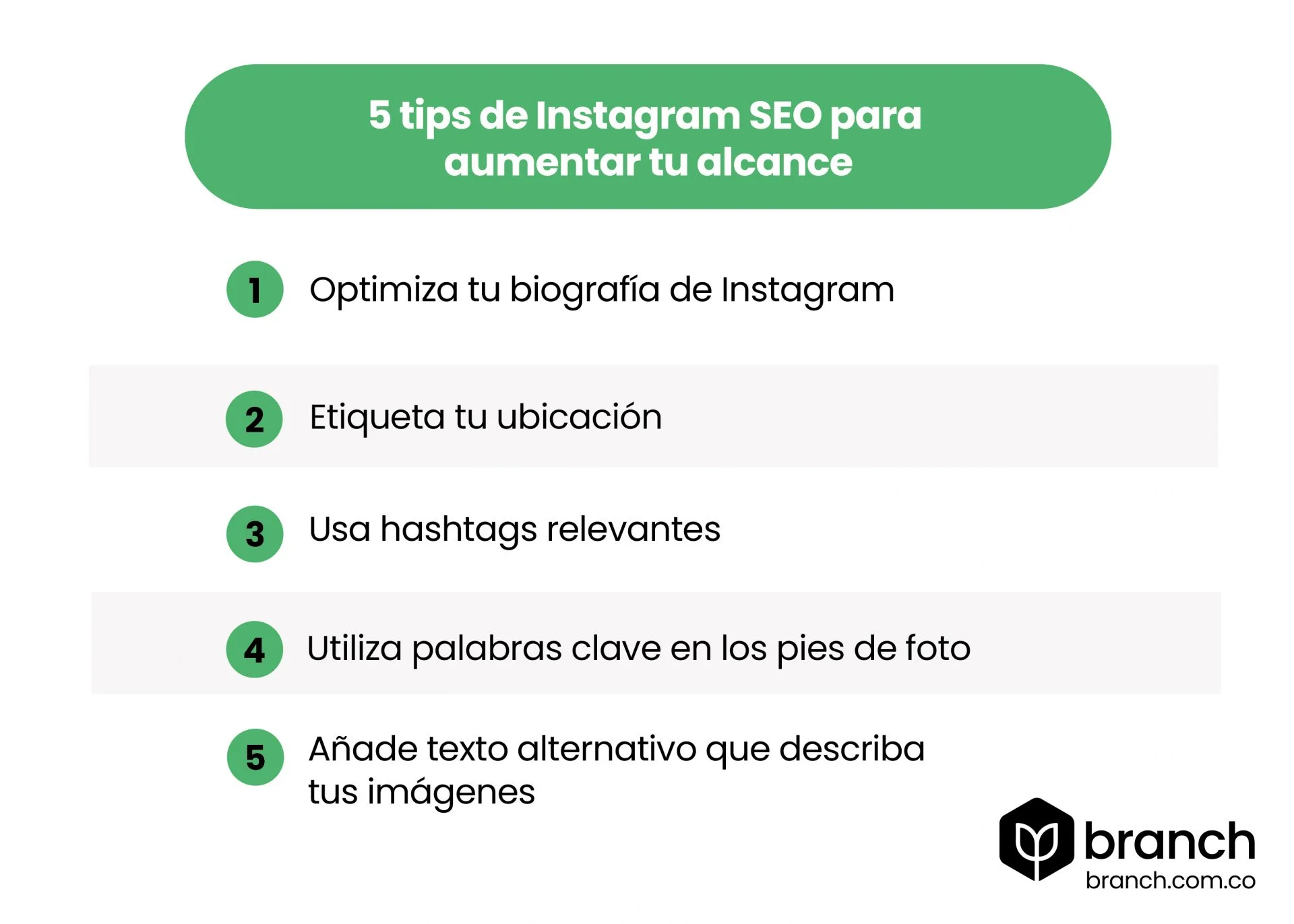 Instagram SEO Tips para aumentar tu alcance