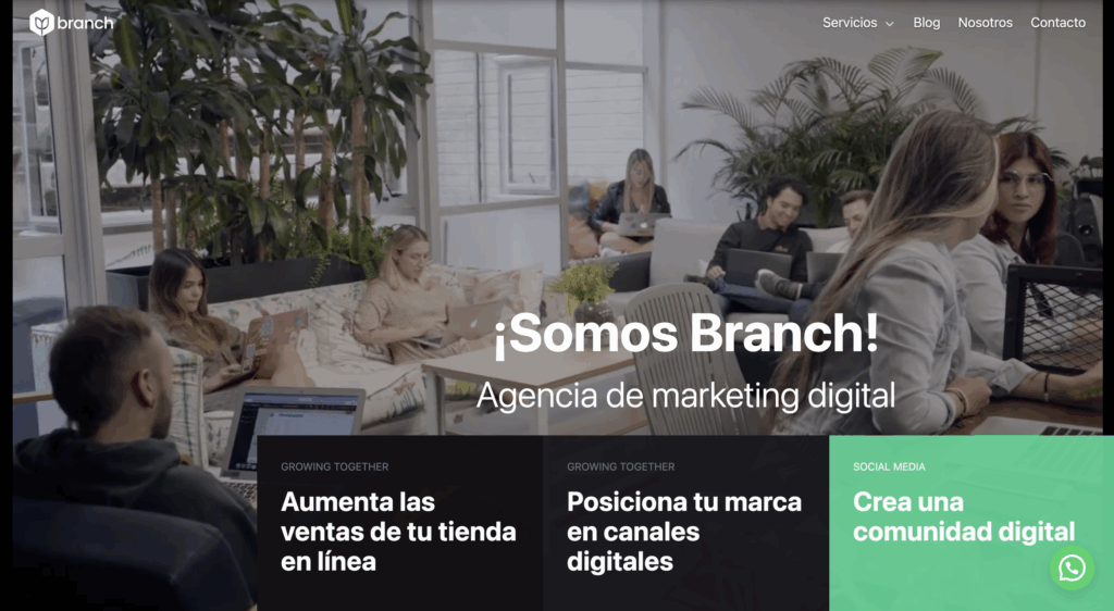 5 plataformas de marketing de influencers República Dominicana