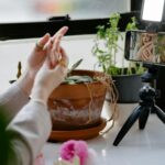 Top 8 plataformas de marketing de influencers en Ciudad de México