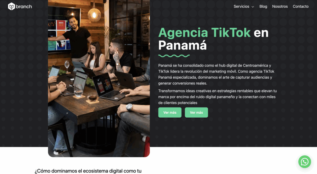Top agencias de TikTok en Panamá