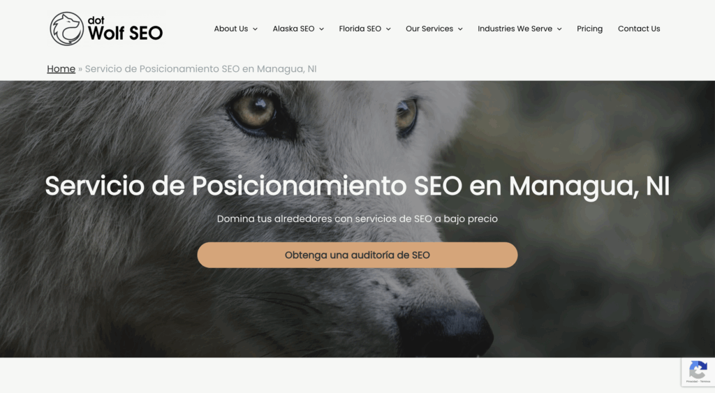 Top 10 de las mejores Agencias de SEO en Nicaragua