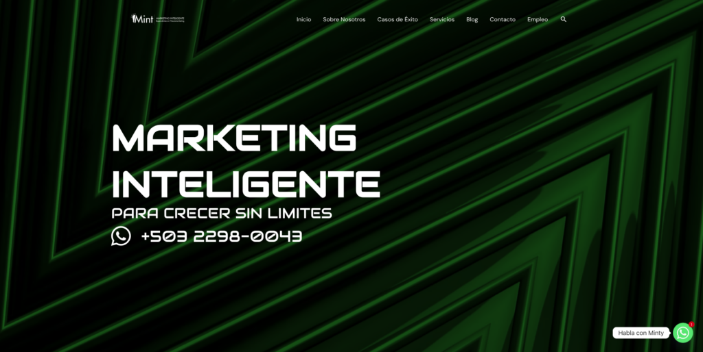 Top 10 agencia de social media en El Salvador