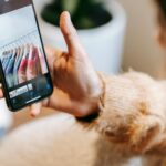 Cómo funciona el algoritmo de Instagram en 2026